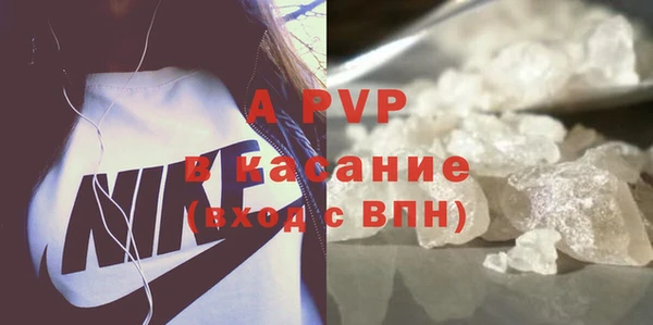 PSILOCYBIN Козловка