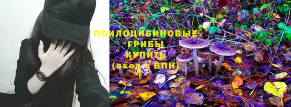 spice Алексеевка