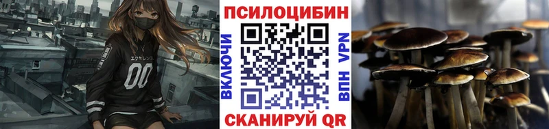 Галлюциногенные грибы GOLDEN TEACHER  цены   Аргун 