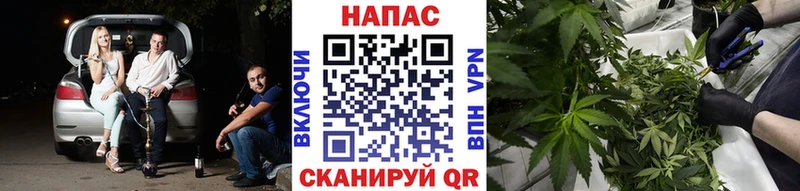 Бошки марихуана план Аргун